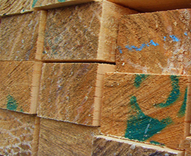 【湖南】建筑木方品质好 中南神箭得客户一致好评