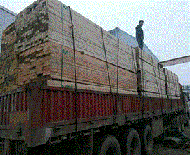 娄底罗总预订的建筑铁杉木方整车已发货，请注意查收！